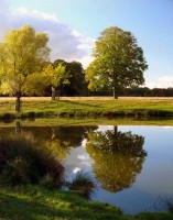 /album/parks-etc/park-2-jpg/